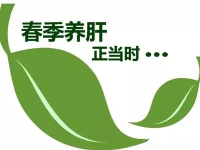 图片12